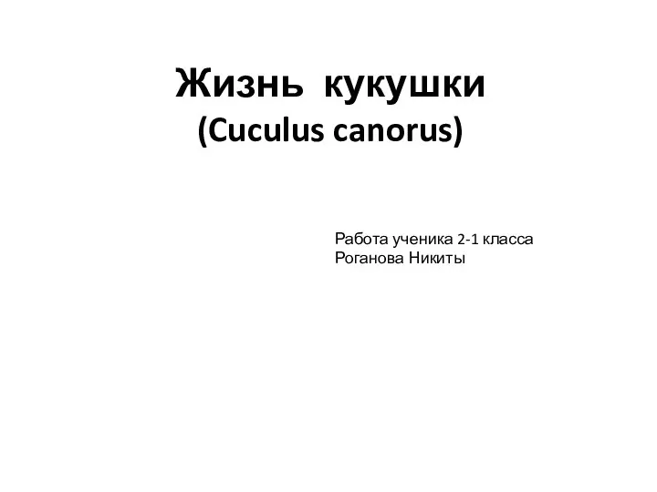 Жизнь кукушки (Cuculus canorus)