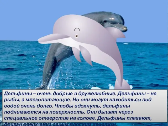 . Дельфины – очень добрые и дружелюбные. Дельфины – не рыбы,