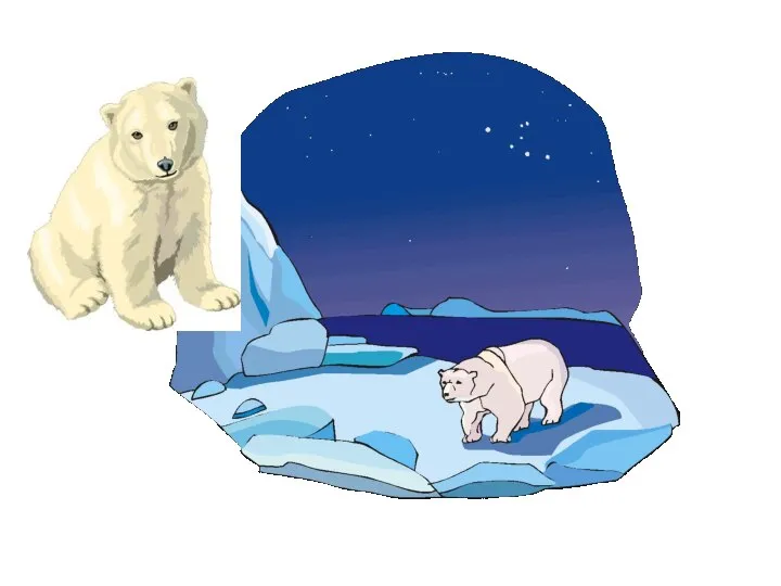 Белый медведь Белый медведь живет на севере, где всегда очень холодно.