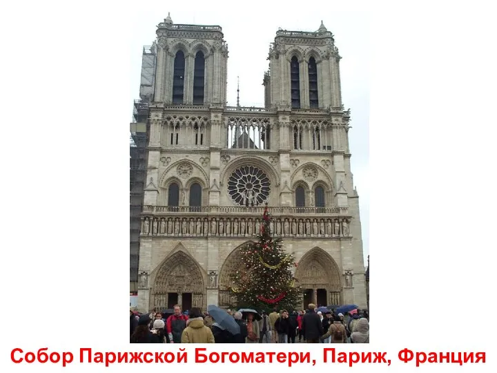 Собор Парижской Богоматери, Париж, Франция