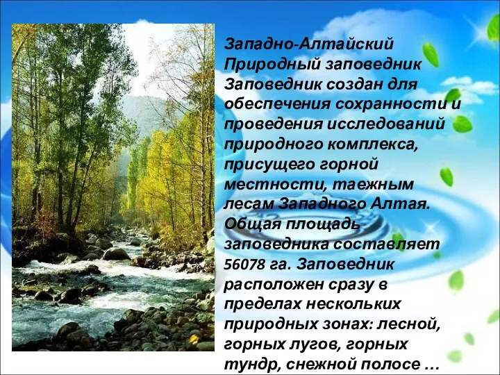 Западно-Алтайский Природный заповедник Заповедник создан для обеспечения сохранности и проведения исследований