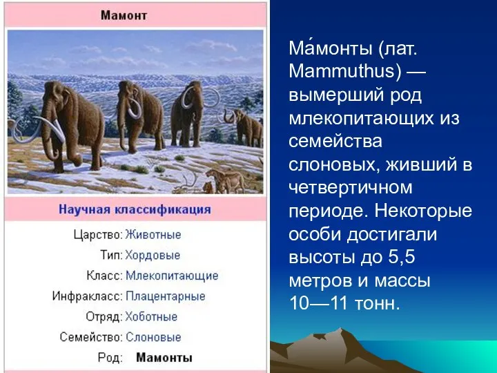 Ма́монты (лат. Mammuthus) — вымерший род млекопитающих из семейства слоновых, живший