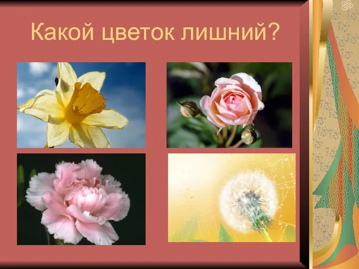 Какой цветок лишний?