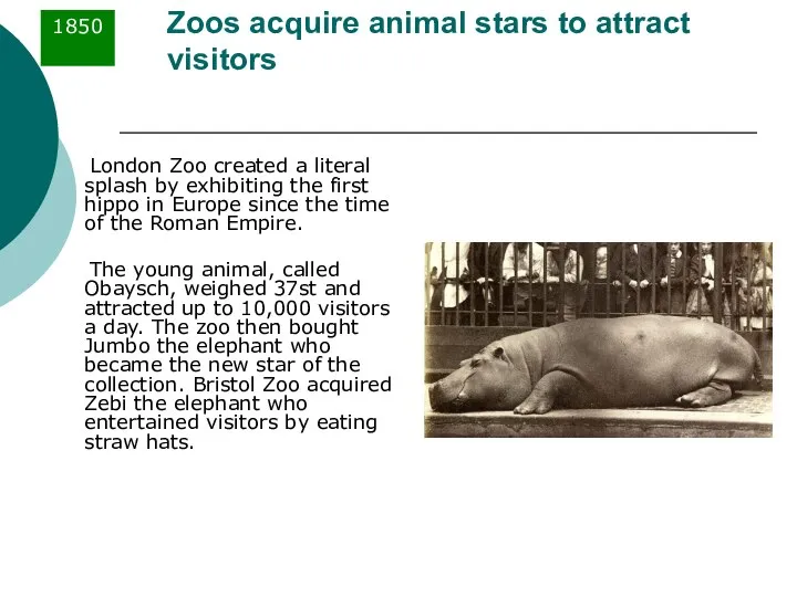 Zoos acquire animal stars to attract visitors London Zoo created a