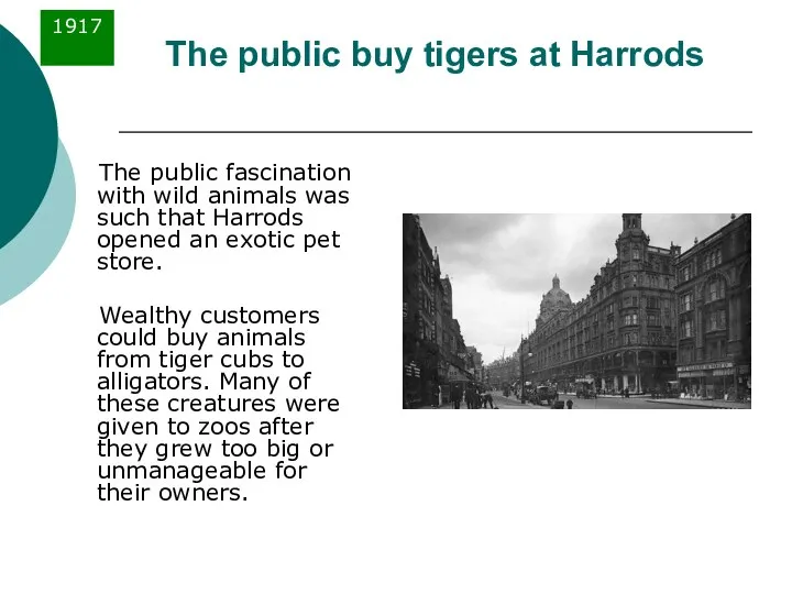 The public buy tigers at Harrods The public fascination with wild