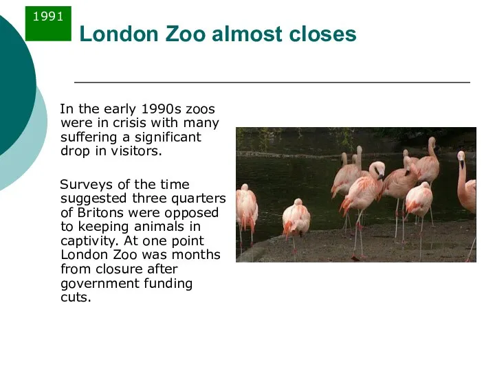 London Zoo almost closes In the early 1990s zoos were in