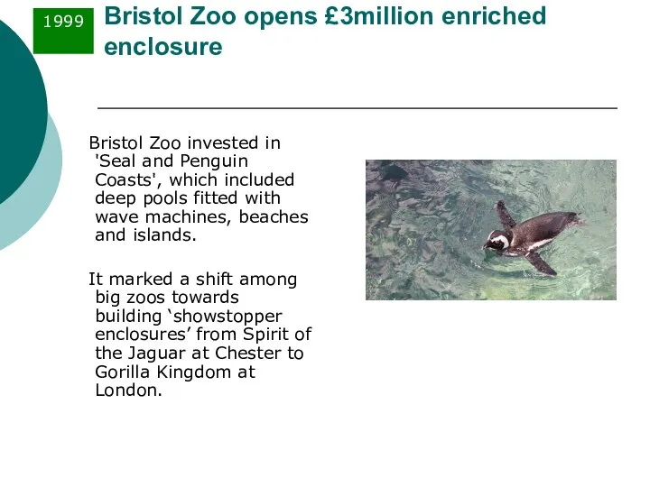 Bristol Zoo opens £3million enriched enclosure Bristol Zoo invested in 'Seal