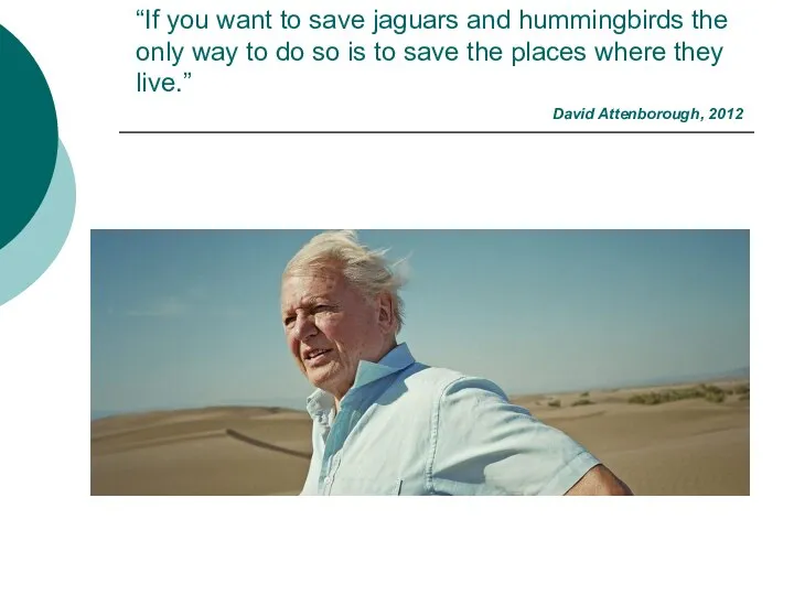 “If you want to save jaguars and hummingbirds the only way