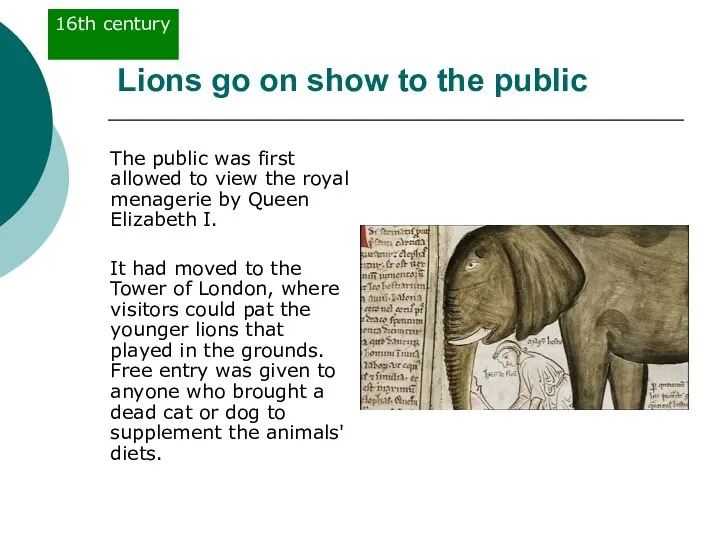 Lions go on show to the public The public was first