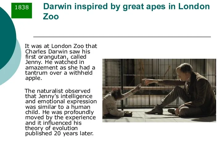Darwin inspired by great apes in London Zoo It was at