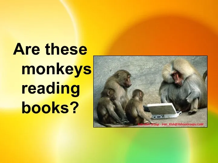 Are these monkeys reading books?