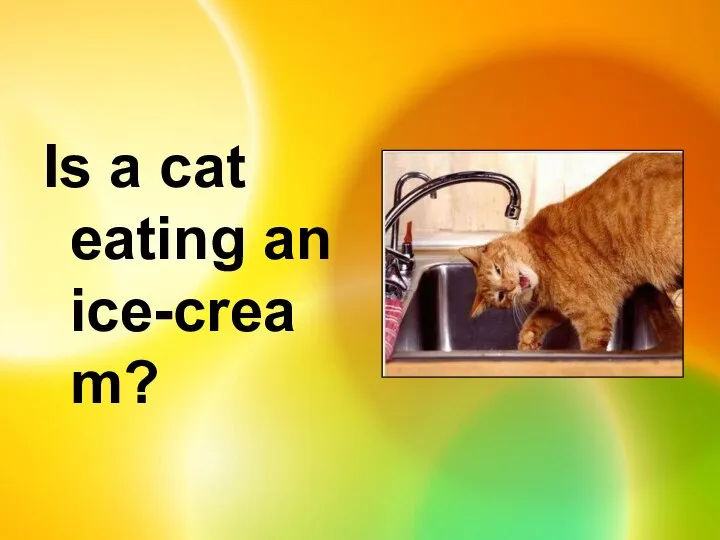 Is a cat eating an ice-cream?