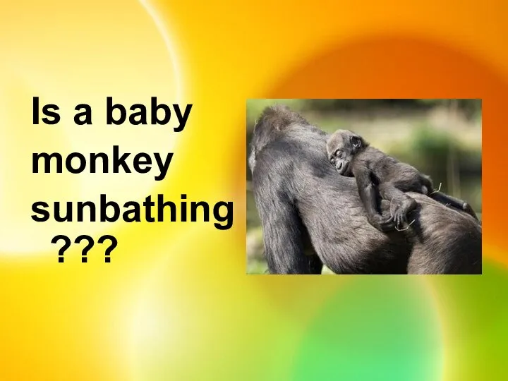 Is a baby monkey sunbathing???