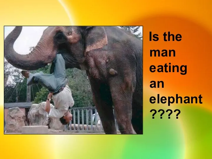 Is the man eating an elephant????