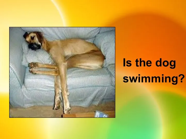 Is the dog swimming?