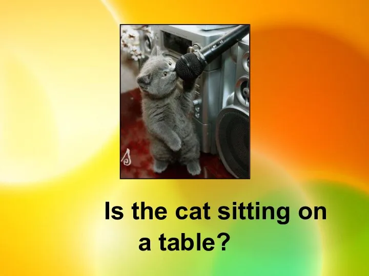 Is the cat sitting on a table?