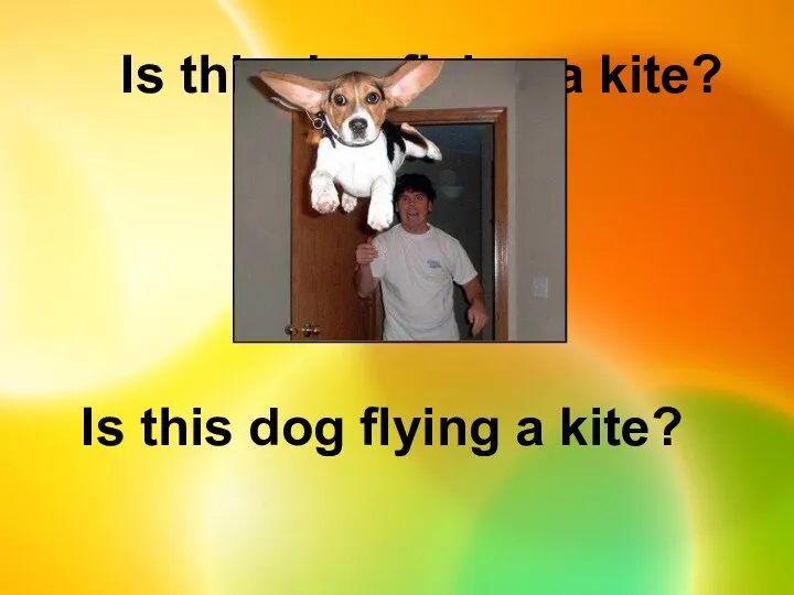 Is this dog flying a kite? Is this dog flying a kite?