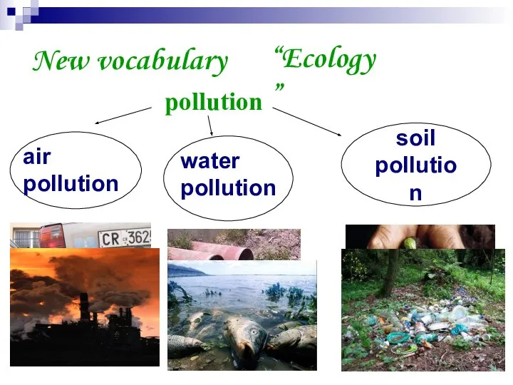 New vocabulary “Ecology” pollution air pollution water pollution soil pollution