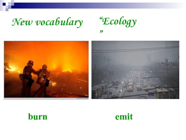 New vocabulary burn “Ecology” emit