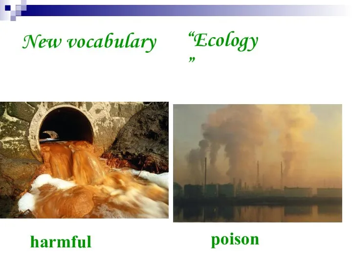 New vocabulary poison “Ecology” harmful