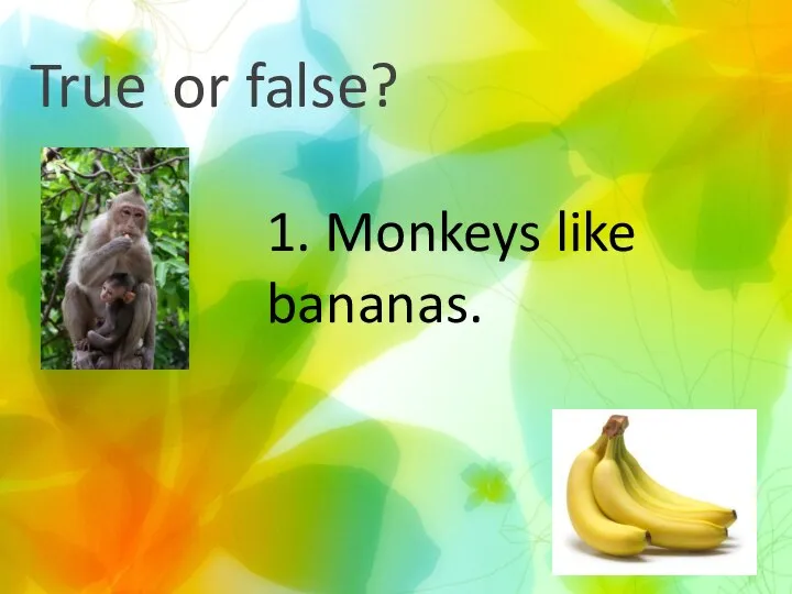True or false? 1. Monkeys like bananas.
