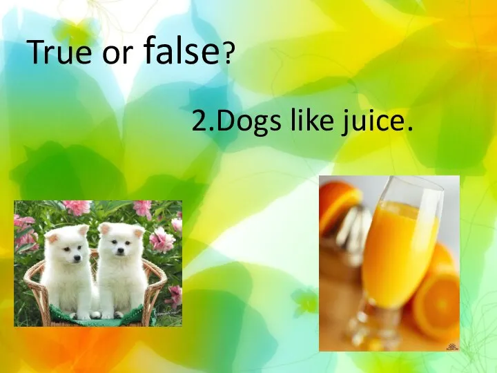 True or false? 2.Dogs like juice.