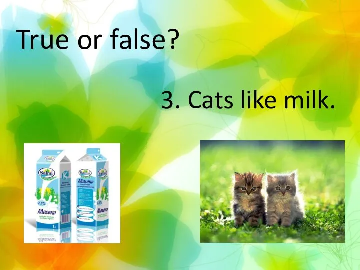 True or false? 3. Cats like milk.