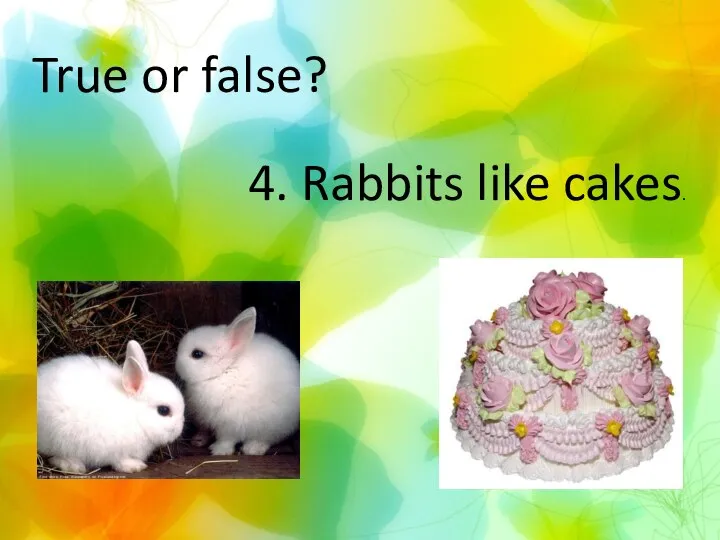 True or false? 4. Rabbits like cakes.