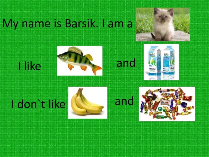 My name is Barsik. I am a I like and .