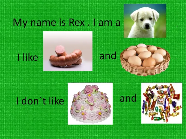 My name is Rex . I am a . I like
