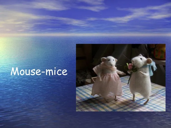 Mouse-mice