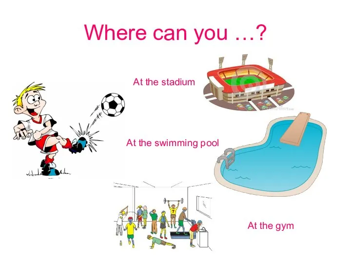 Where can you …? At the stadium At the swimming pool At the gym