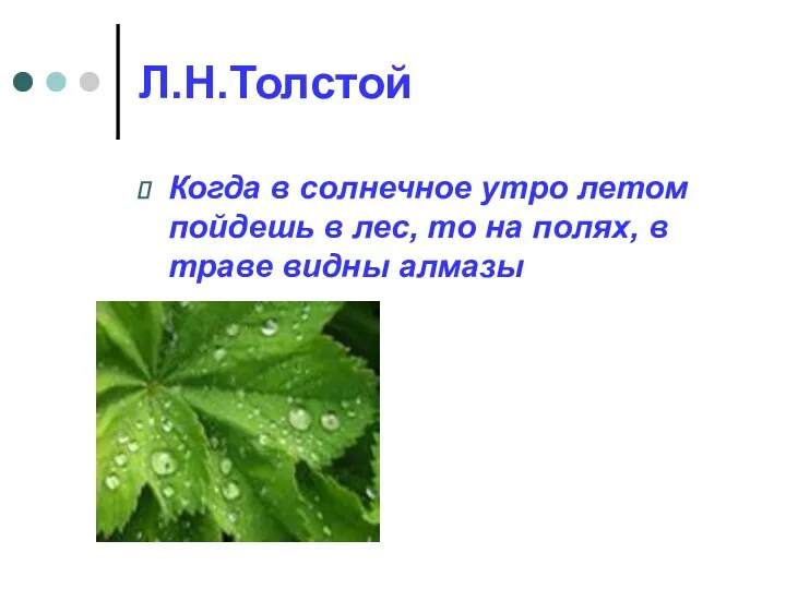 Л.Н.Толстой Когда в солнечное утро летом пойдешь в лес, то на полях, в траве видны алмазы