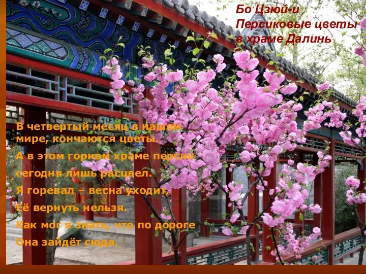 Бо Цзюй-и Персиковые цветы в храме Далинь Бо Цзюй-и Персиковые цветы