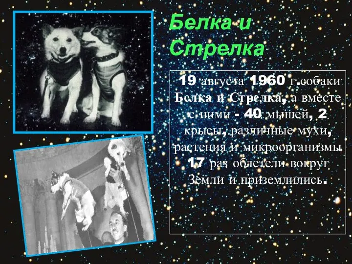 19 августа 1960 г.собаки Белка и Стрелка, а вместе с ними