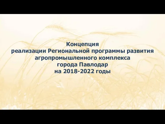 Концепция реализации Региональной программы развития агропромышленного комплекса города Павлодар на 2018-2022 годы