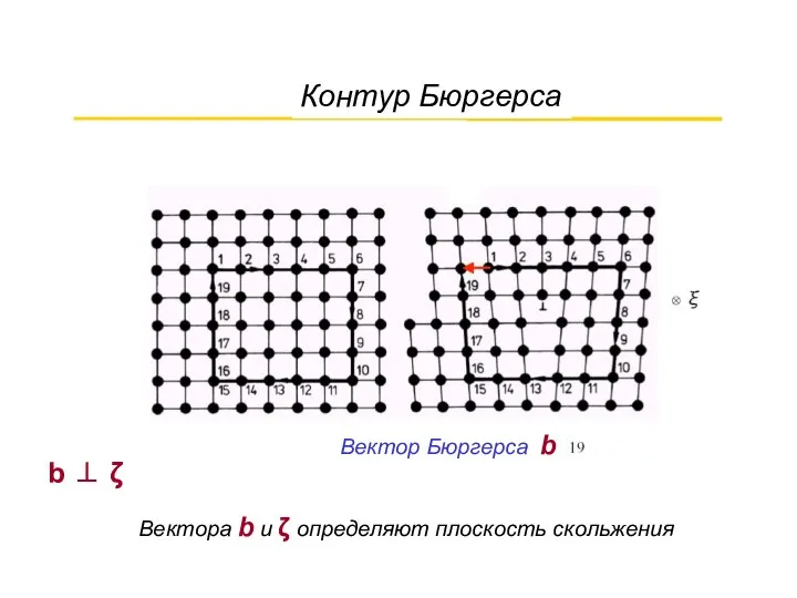 Контур Бюргерса Вектор Бюргерса b b ⊥ ζ Вектора b и ζ определяют плоскость скольжения