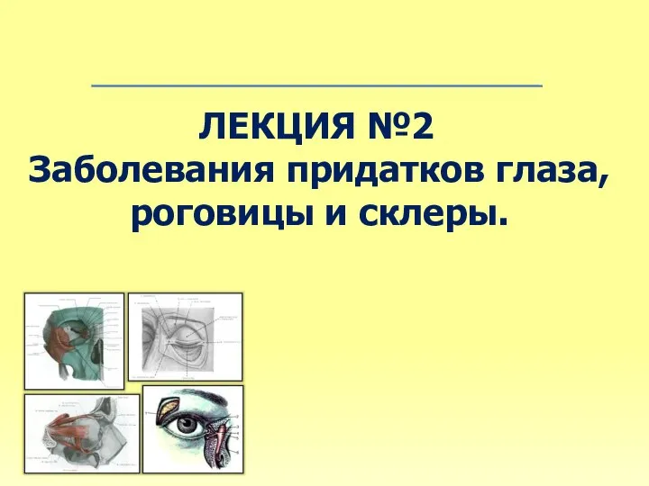 Заболевания придатков глаза, роговицы и склеры. Лекция №2