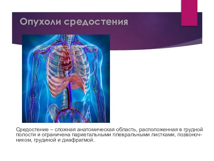 Опухоли средостения Средостение – сложная анатомическая область, расположенная в грудной полости