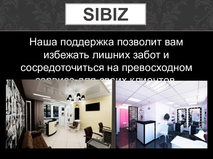 Фирма Sibiz. Бизнес-план