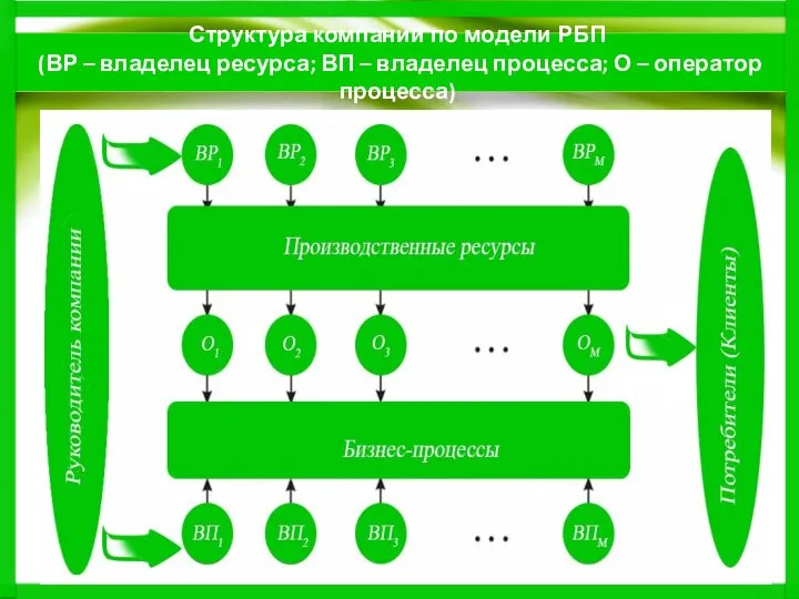 Структура компании по модели РБП (ВР – владелец ресурса; ВП –