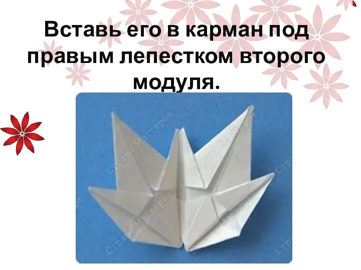 Вставь его в карман под правым лепестком второго модуля.