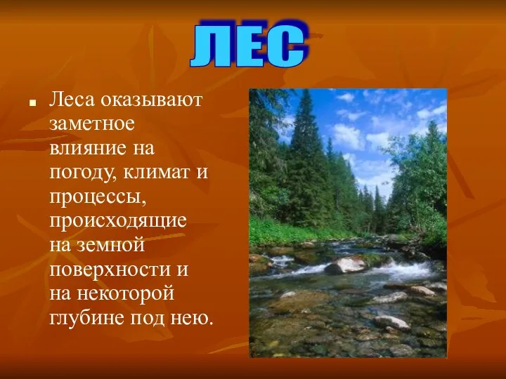 Леса оказывают заметное влияние на погоду, климат и процессы, происходящие на