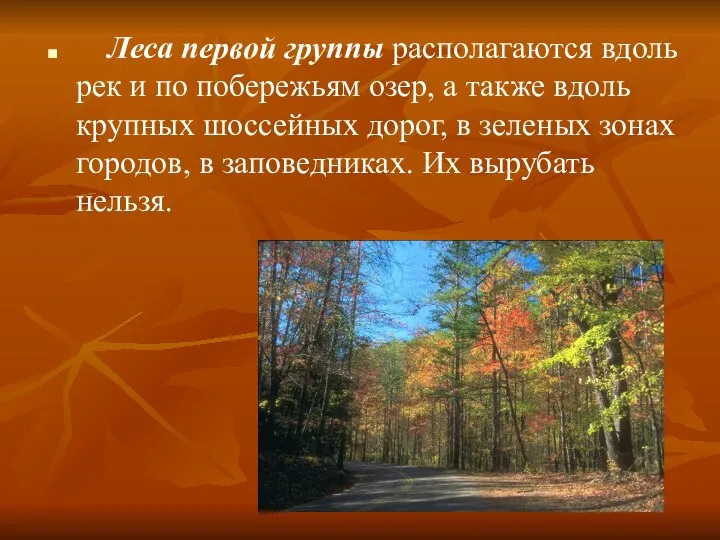 Леса первой группы располагаются вдоль рек и по побережьям озер, а