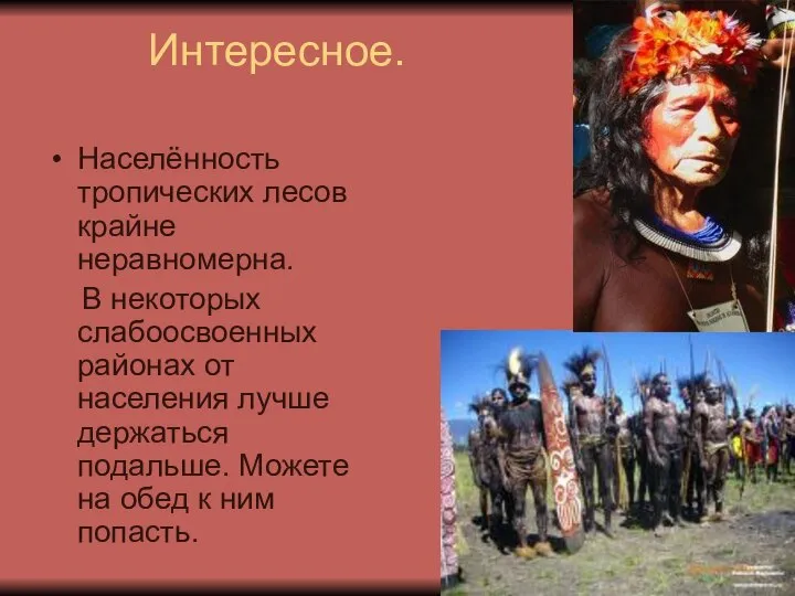 Интересное. Населённость тропических лесов крайне неравномерна. В некоторых слабоосвоенных районах от