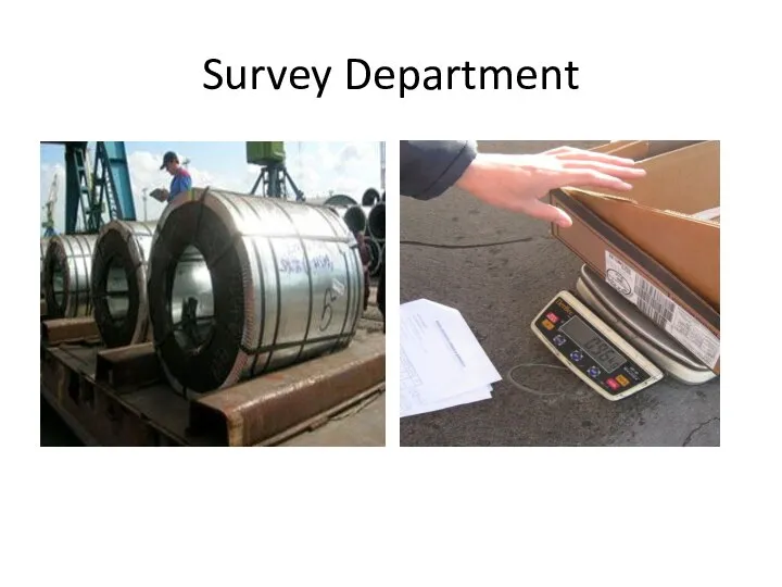 Survey Department