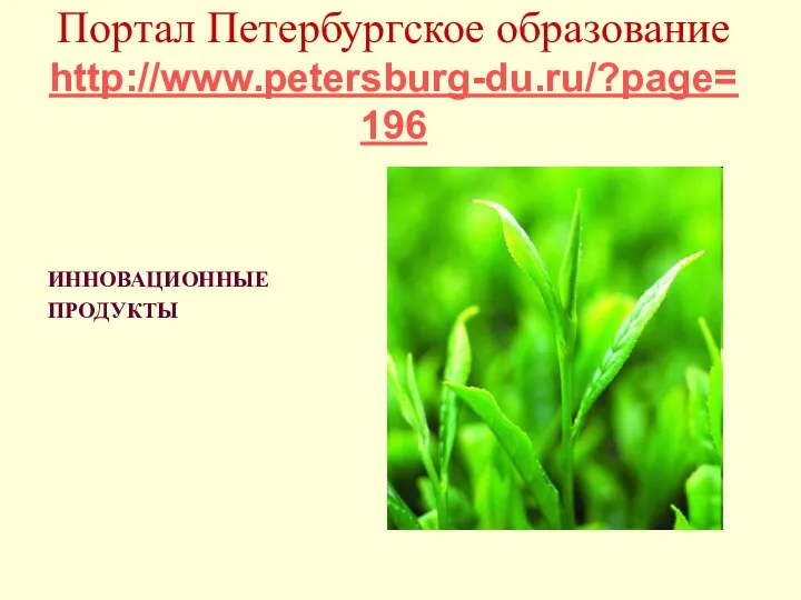 Портал Петербургское образование http://www.petersburg-du.ru/?page=196 ИННОВАЦИОННЫЕ ПРОДУКТЫ