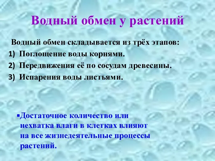 Водный обмен у растений Водный обмен складывается из трёх этапов: Поглощение