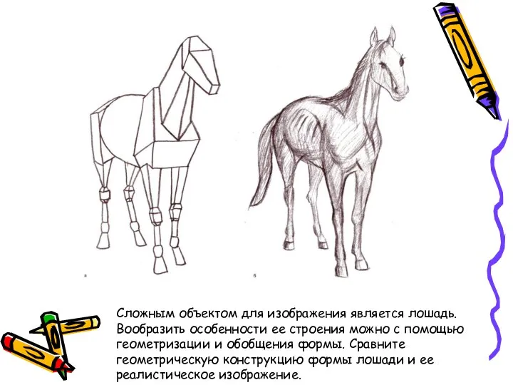 Сложным объектом для изображения является лошадь. Вообразить особенности ее строения можно