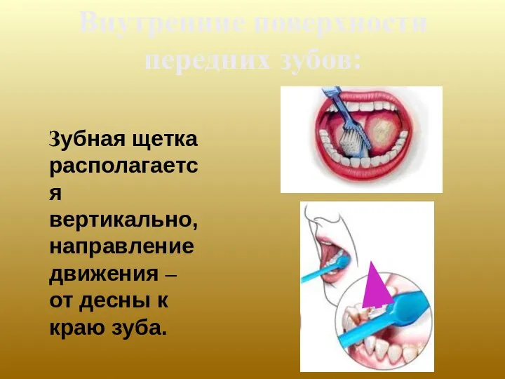 Зубная щетка располагается вертикально, направление движения – от десны к краю зуба. Внутренние поверхности передних зубов: